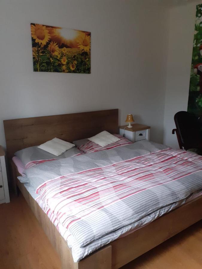 Apartman Ema Sloup  Luaran gambar
